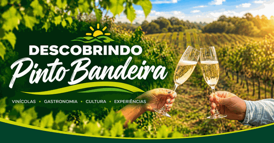 DESCOBRINDO PINTO BANDEIRA