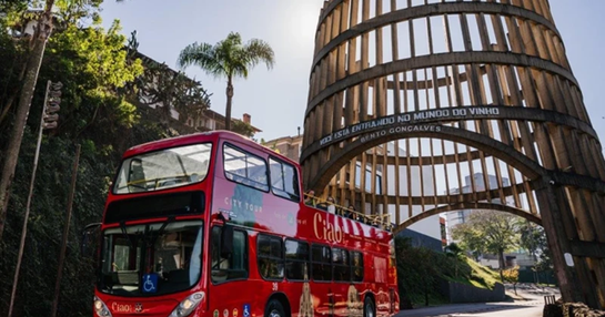 CITY TOUR CIÃO BUS
