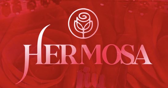 Hermosa Party 2025